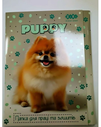 Папка для праці «DOG» А4 картонна на гумках, KIDS Line