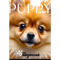 Щоденник шкільний 16,5х24 см на 40 аркушів з матовою ламінацією, ТМ Мандарин
