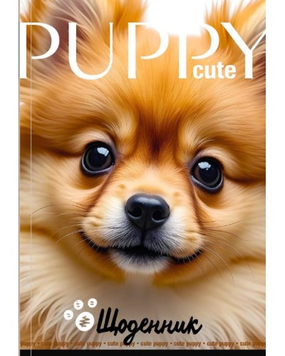 Щоденник шкільний 16,5х24 см на 40 аркушів з матовою ламінацією, ТМ Мандарин