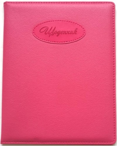 Щоденник шкільний на 48 аркушів 167х211 мм з обкладинкою зі шкірзаму, ТМ Мандарин