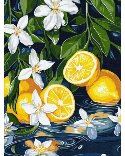 Картина за номерами «Лимон у розрізі» 30х40 см, ТМ Ідейка