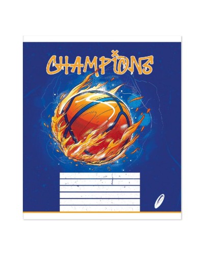 Зошит на 36 аркушів у клітинку «Мікс» №0211, Пір'їнка