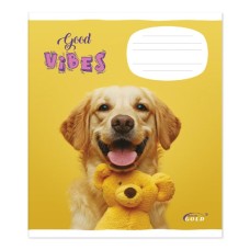 Зошит на 18 аркушів у клітинку «Мікс Хлопчики», №3405, ТМ Gold Brisk