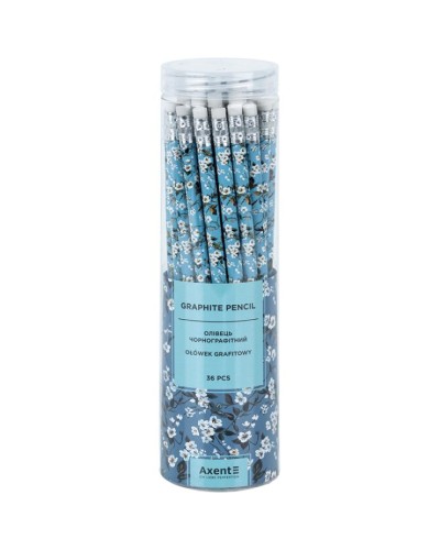 Олівець графітний «Evening Light» HB, у тубусі, ТМ Axent