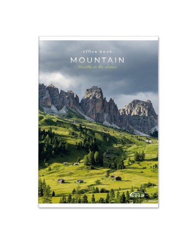 Канцелярська книга «Gold» у клітинку на 96 аркушів на скобі з картонною обкладинкою, №4135-2, ТМ Brisk