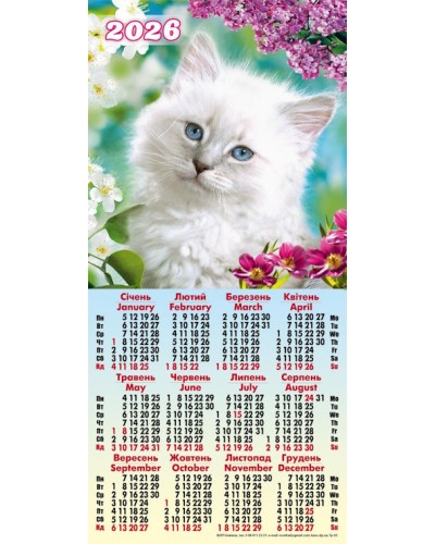 Календар третинка «Котик»