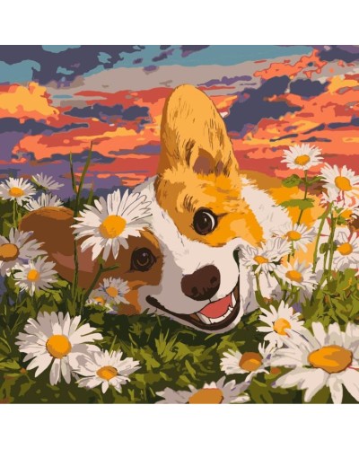Картина за номерами «Коргі у ромашках» 40х40 см, ТМ Ідейка
