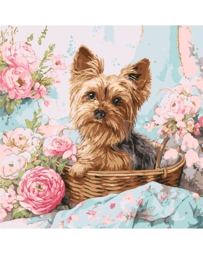 Картина за номерами «Йорк у кошику» 40х40 см, ТМ Ідейка