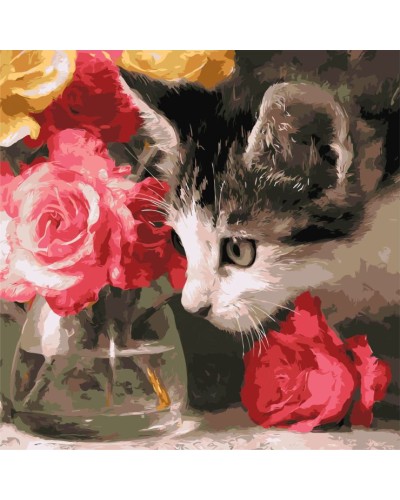 Картина за номерами «Пухнастий дослідник» 40х40 см, ТМ Ідейка