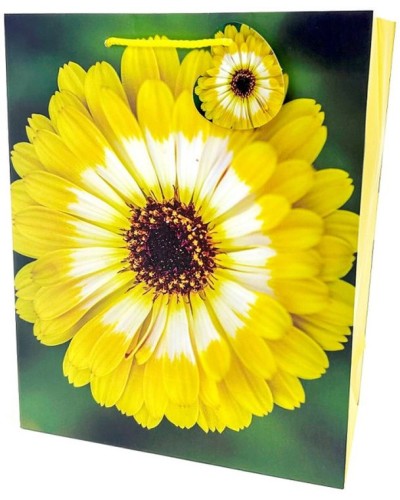 Пакет паперовий 26х32х12 см, ТМ Мандарин