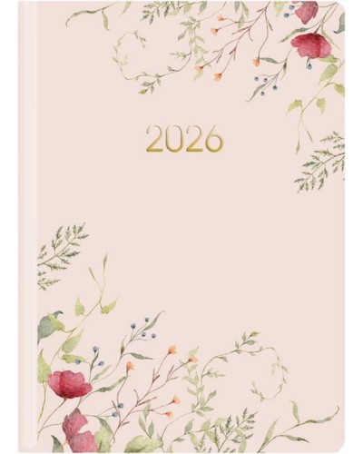 Щоденник датований «Персикова ніжність» А5 на 336 сторінок з картонною обкладинкою, ТМ Economix