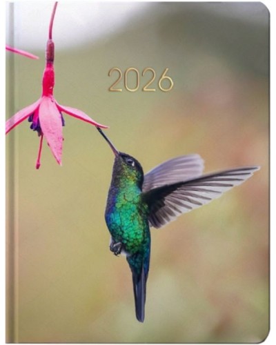 Щоденник датований «Колібрі» А5 на 336 сторінок з картонною обкладинкою, ТМ Economix