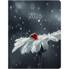 Щоденник датований «Сонечко» А5 на 336 сторінок з картонною обкладинкою, ТМ Economix