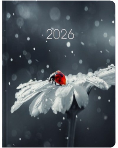 Щоденник датований «Сонечко» А5 на 336 сторінок з картонною обкладинкою, ТМ Economix