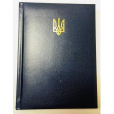 Щоденник недатований «POWERFUL» A5 на 336 арушів з обкладинкою зі шкірзаму, синій, ТМ Buromax