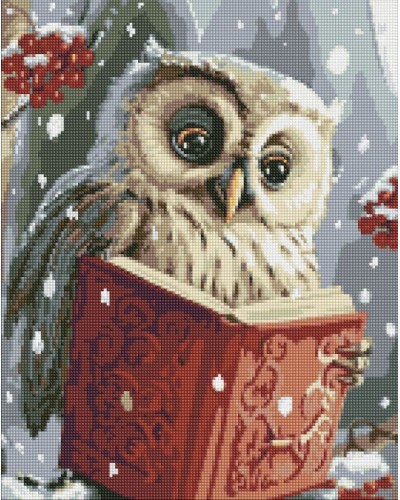 Набір з алмазною мозаїкою «Розумна совушка» з АВ стразами 40х50 см, ТМ Ідейка