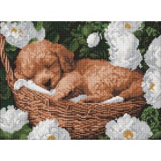 Набір з алмазною мозаїкою «Сплячий пудель» 30х40 см, ТМ Ідейка