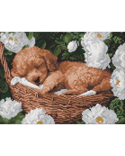 Набір з алмазною мозаїкою «Сплячий пудель» 30х40 см, ТМ Ідейка