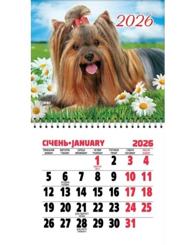 Календар 11х20 см на магніті