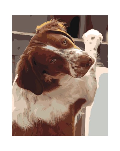 Картина за номерами «Відданий погляд» 40х50 см, ТМ Strateg