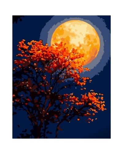 Картина за номерами «Червона повня» 40х50 см, ТМ Strateg