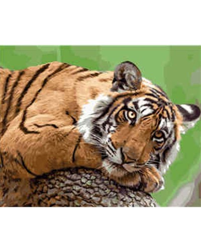 Картина за номерами «Замріяний тигр» 40х50 см, ТМ Strateg
