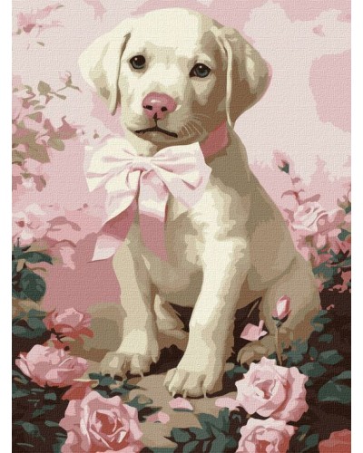 Картина за номерами «Пухнастий подарунок» 30х40 см, ТМ Ідейка