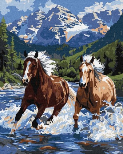 Картина за номерами «Сила в русі» 40х50 см, ТМ Ідейка