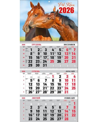 Календар квартальний «Рік Коня» 30х21 см на 3 пружини