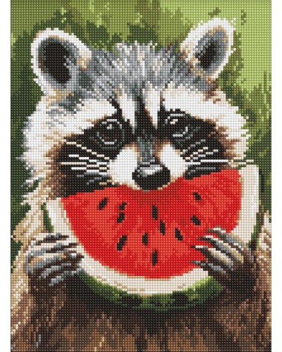 Алмазна мозаїка «Соковитий кавун» 30х40 см, ТМ Ідейка