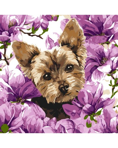 Картина за номерами «Йорк у магноліях» 40х40 см, ТМ Ідейка