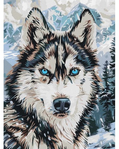 Картина за номерами «Очі півночі» 30х40 см, ТМ Ідейка