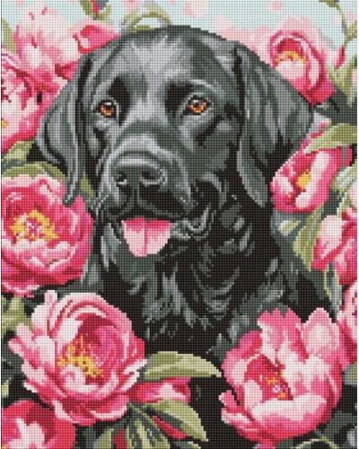 Набір з алмазною мозаїкою «Собака у півоніях» 40х50 см, ТМ Ідейка