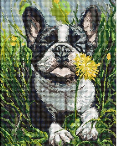 Набір з алмазною мозаїкою «Собака і кульбаба» 40х50 см, ТМ Ідейка