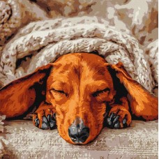 Картина за номерами «Солодкий спокій» 40х40 см, ТМ Ідейка