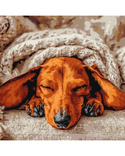 Картина за номерами «Солодкий спокій» 40х40 см, ТМ Ідейка