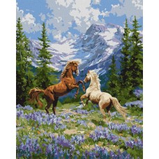 Картина за номерами «Вільна пара у лісі» 40х50 см, ТМ Ідейка