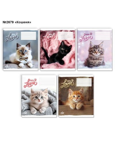 Зошит на 36 аркушів у клітинку «Кошеня» №2679, ТМ Brisk