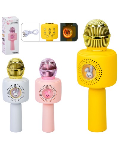 Мікрофон 22 см на акумуляторі зі світлом та USB, в асортименті, у коробці 8х22,5х8 см