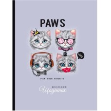 Щоденник шкільний 16,5х21 см на 40 аркушів з матовою ламінацією, ТМ Мандарин