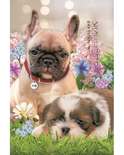 Щоденник шкільний 16,5х24 см на 40 аркушів з матовою ламінацією, ТМ Мандарин