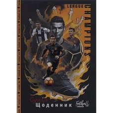 Щоденник шкільний 16,5х24 см на 40 аркушів з матовою ламінацією, ТМ Мандарин