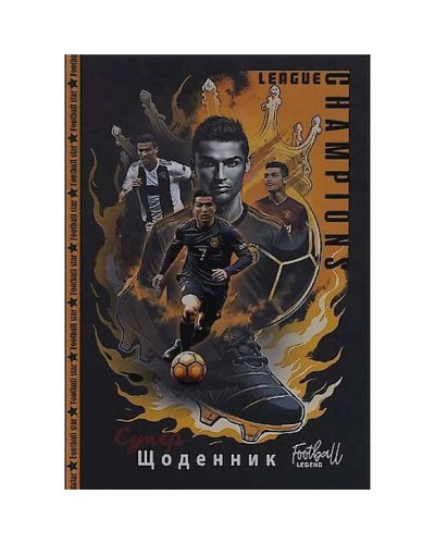 Щоденник шкільний 16,5х24 см на 40 аркушів з матовою ламінацією, ТМ Мандарин