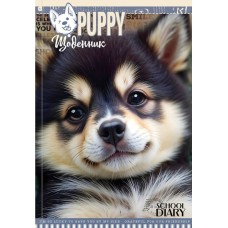 Щоденник шкільний 16,5х24 см на 40 аркушів з матовою ламінацією, ТМ Мандарин