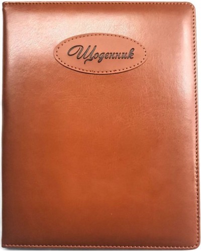 Щоденник шкільний А5 на 48 аркушів з обкладинкою зі шкірзаму, коричневий, ТМ Мандарин