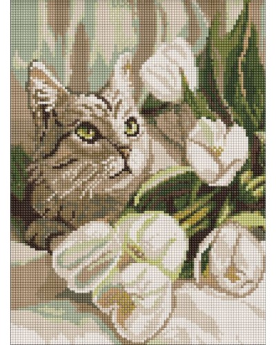 Набір з алмазною мозаїкою «Зеленоокий кіт з тюльпанами» 30х40 см, ТМ Ідейка