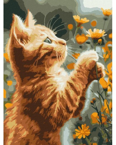 Картина за номерами «Рудий пухнастик» 30х40 см, ТМ Ідейка