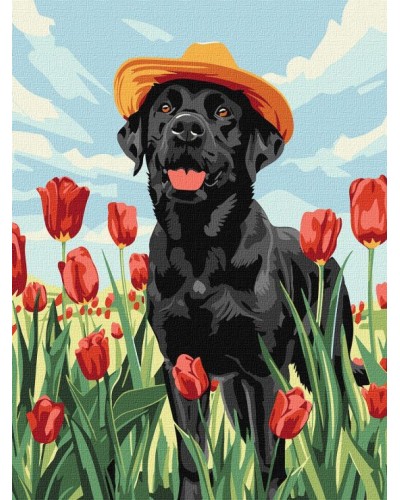 Картина за номерами «Чарівний лабрадор» 30х40 см, ТМ Ідейка