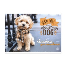 Альбом А4 30 аркушів 100 г/м2 на скобі, в асортименті, ТМ Brisk