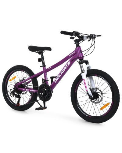 Велосипед PROFI DELICATE 20 д. DL-2002 (1 шт) сталева рама 11